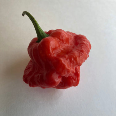 MA Wartryx - Seeds - The Pepper Pantry (Formerly Marie Sharp's)